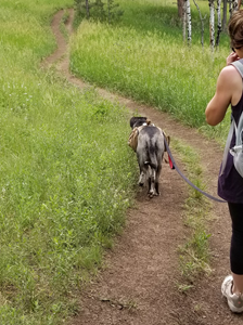 Corwina Park July 4 2018 (3).jpg